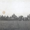1908-harvest-PotterCo-1.jpg
