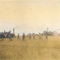 1908-harvest-PotterCo-3-colorized.jpg