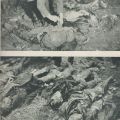 docu0045.JPG