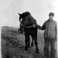 1930?-Joe-Rhombs-horse-PotterCounty-South-Dakota-FromNegative.jpg