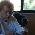 IMG_20170809_125933033.jpg