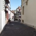 IMG_20260625_105315754.jpg