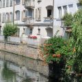 IMG_5354.JPG