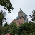 PXL_20260629_070140008.jpg