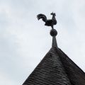 PXL_20260629_071319328.jpg