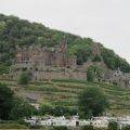 IMG_5441.JPG