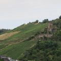 IMG_5455.JPG