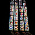 IMG_5555.JPG