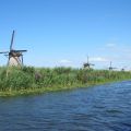 IMG_5594.JPG