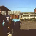 61083_005.jpg